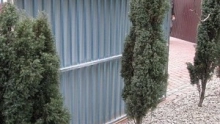 Gebäude Rückwandplatte in RAL
